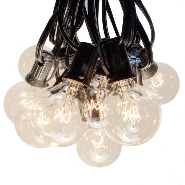 Arlmont & Co. Blairsden Outdoor 100 - Bulb 1200'' Plug-in Globe String Light  & Reviews