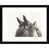 Black Framed Paper