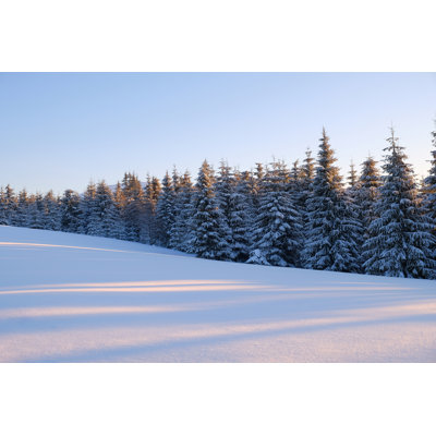Paysage d'hiver - photographie sur toile tendue