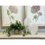 Nunn Faux Ivy Plant in Fiberstone Pot-557211659-557211658