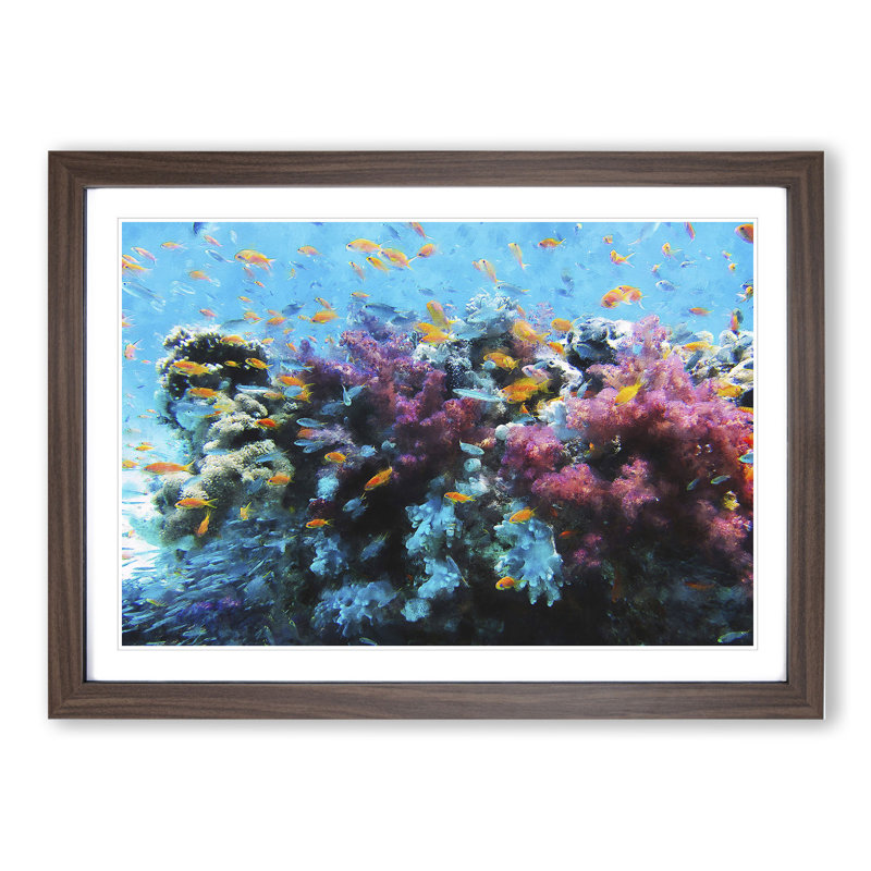 Coral Reef and Fish Vol.1 - Picture Frame Graphic Art, Walnut Framed, 48cm H x 65cm W x 2cm D