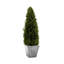 Faux Cypress Topiary in Terracotta Pot-255984083
