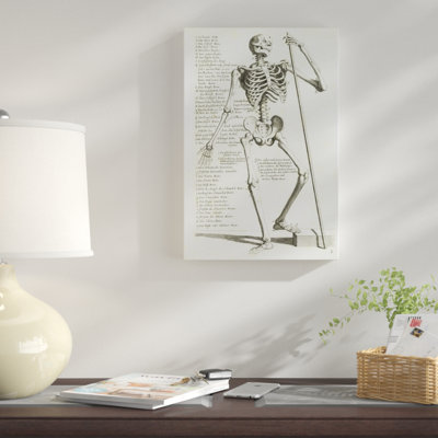 " Anatomical Diagram Showing Human Skeleton Front View With Legends "