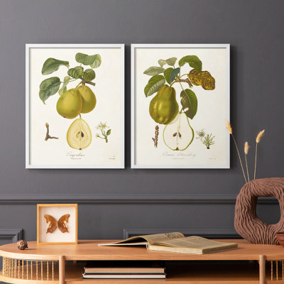 Vintage Pears III - reproduction encadrée de qualité supérieure - prête à être accrochée - aucun clou requis - aucun clou requis