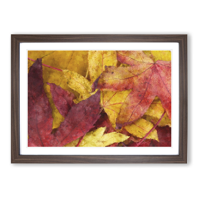 Autumn Leaves Vol.1 - Picture Frame Graphic Art, Walnut Framed, 27cm H x 36cm W x 2cm D