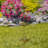 Natal Metal Plants & Flowers Rain Chain