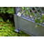 140cm H x 100cm W Plastic Expanding Trellis-49301768