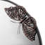 Butterfly Round Wall Mirror