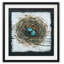 Nid teint - reproduction de cadre photo-1570242616