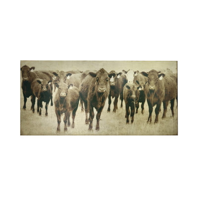 " Bovine "