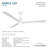 Simple 52" Led Indoor/outdoor Ceiling Fan-116509625-116509623