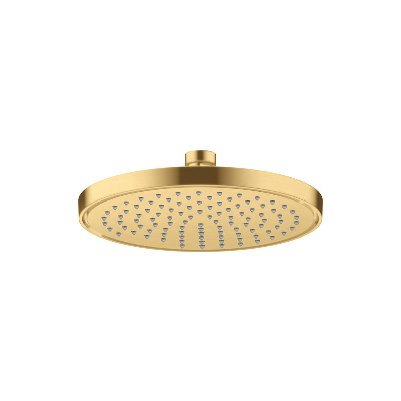 Rain Fixed Shower Head