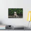No Frame Print on Canvas