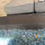Photos des clients 1 de 1