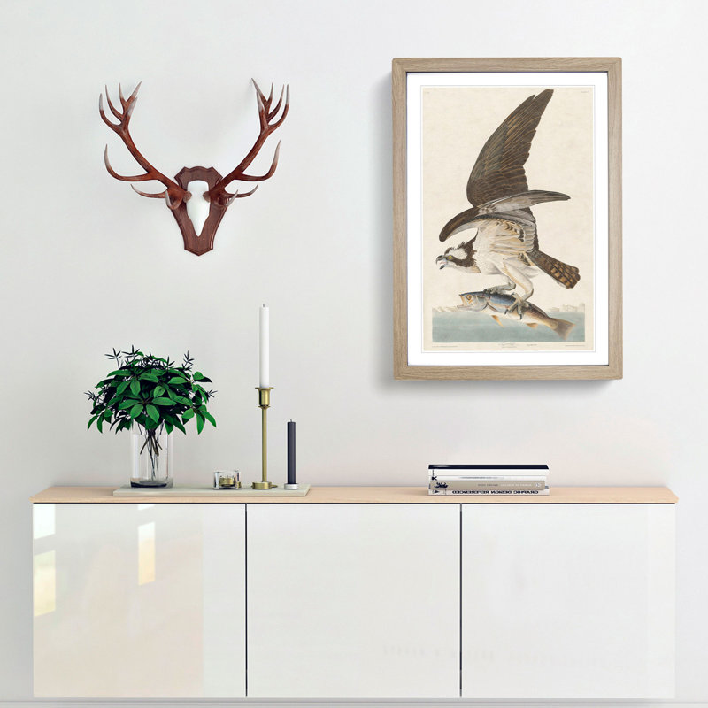 Osprey by John Audubon - Picture Frame Painting Print, 48cm H x 36cm W x 2cm D, Oak Framed