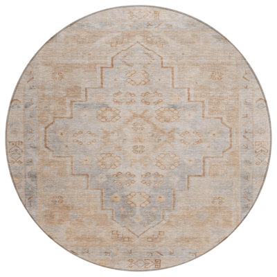 Machine Washable Indoor/Outdoor Xhevrie Copper Rug