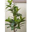 130cm Faux Magnolia Tree in Fibrestone Pot