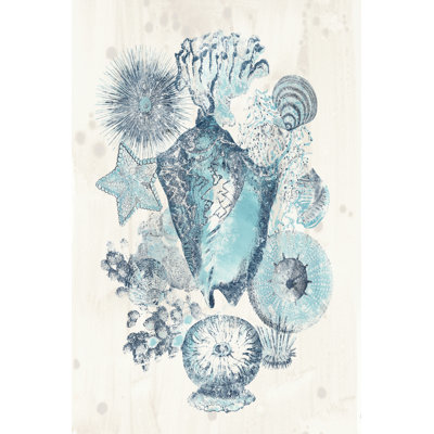 Coastal Melange III by June Erica Vess - Wrapped Canvas Art Prints