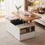 Adalin Lift Top Solid Coffee Table with Storage-1820467506-1820467505