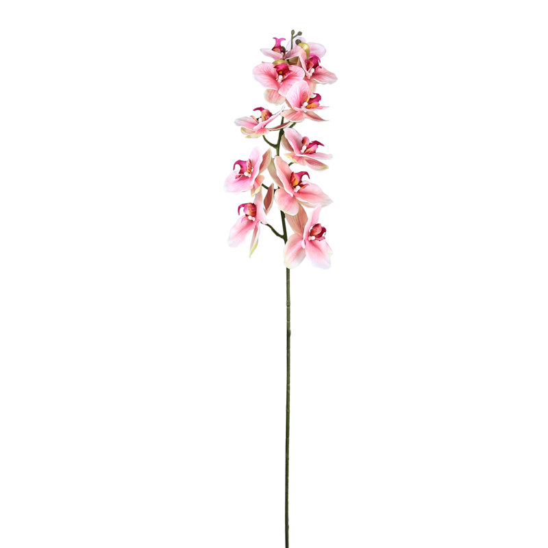 Orchid Arrangement, Pink