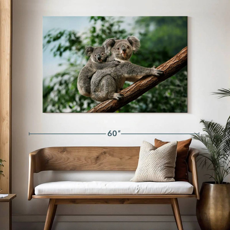 Brampt Female Carrying Young Koala