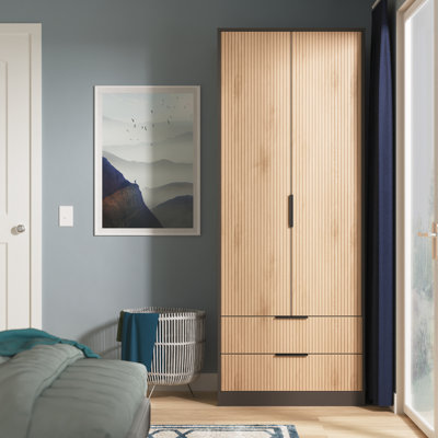 Taeyah 2 Door 2 Drawer Wardrobe
