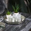 Bakker Metal Serving Tray for Living Room and Dining Table, Mirrored Tray for Decor-523946737