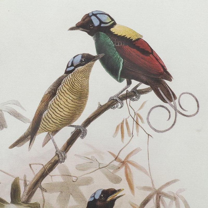 Bird - ensemble de 2 reproductions de cadres photo