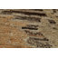 Vegetable Dye Oushak Turkish Area Rug 9x12