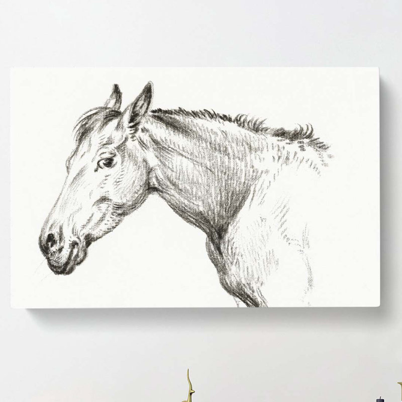 The Head of a Horse by Jean Bernard - Wrapped Canvas Drawing - Wrapped Canvas, 40cm H x 60cm W x 3cm D