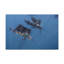Wall Art on Canvas-1590414520