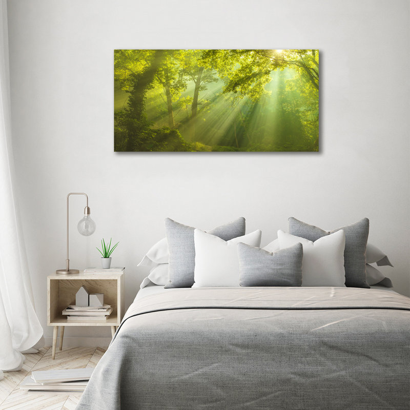 Forest In The Sun - Wrapped Canvas Print