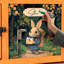 Small Animal Hutch