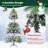 Lighted Christmas Tree-1009174070