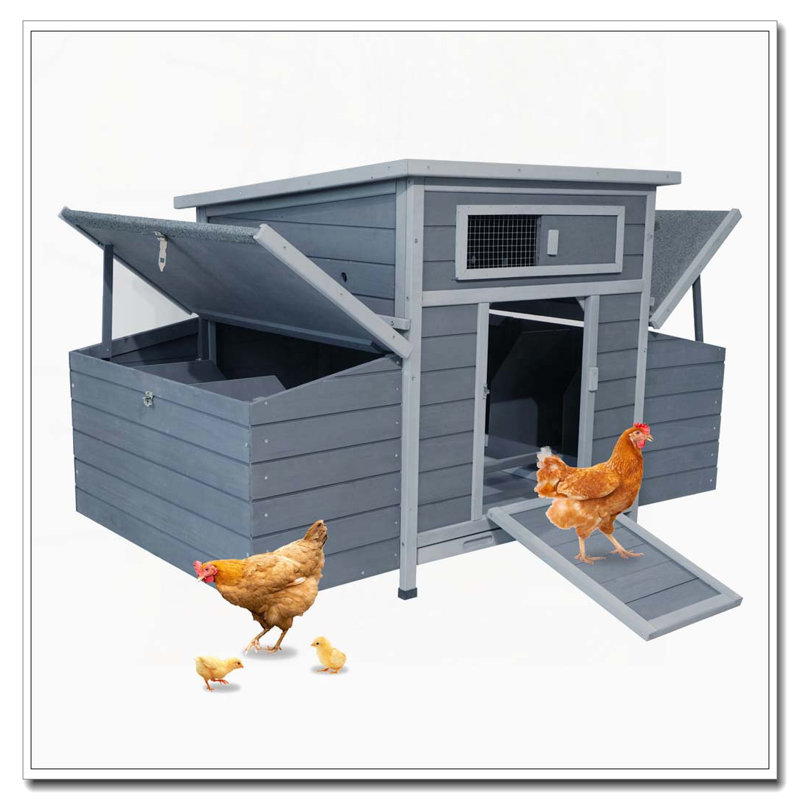 Grand poulailler en bois avec 2 boîtes gigognes
