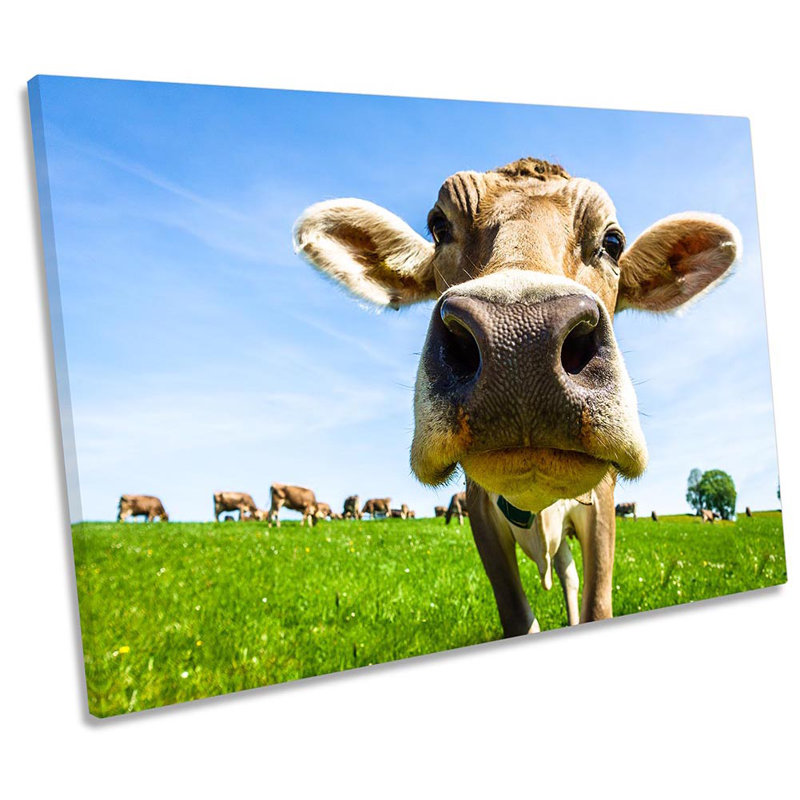 Cow Farm Field - Wrapped Canvas Art Prints, 50.8cm H x 76.2cm W x 2cm D