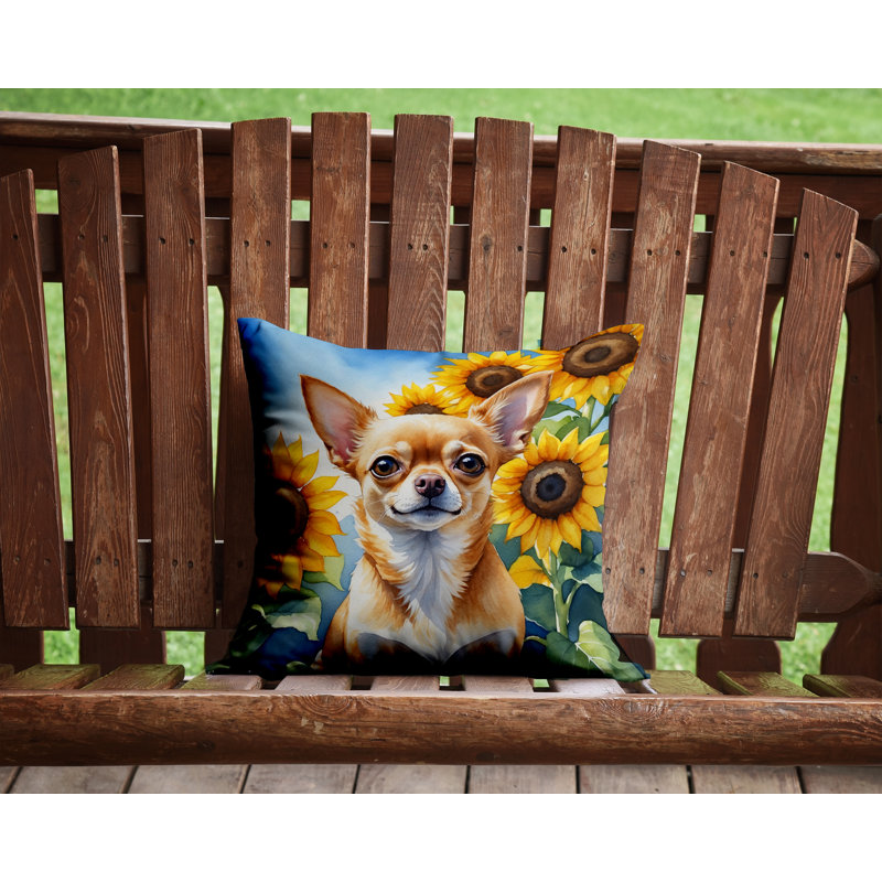 Coussin décoratif intérieur / extérieur Autre / Sans motif, H 14 po x l 14 po