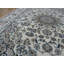 Tapis nain ivoire Dayonte-1074316083