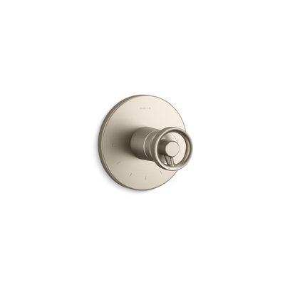 Components™ Thermostatic Valve Trim with Industrial Handle