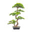 Bonsaï artificiel 35 "avec feuilles luxuriantes et fausses plantes vertes en pot décoratif