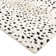 Louis Area Rug in Ivory