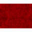 Handmade Wool Area Rug