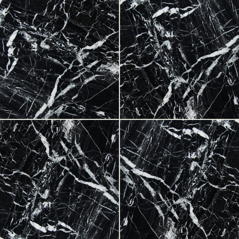 Imperial Ink 12 in. x 12 in. Polished Marble Floor and Wall Tile