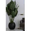 Lampe sur pied 45 po Ovelia Chrysanne