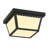 2-Light Flush Mount Ceiling Light