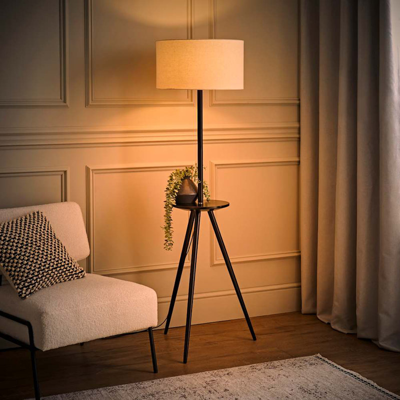 Tolono 150cm Matte Tripod Floor Lamp, Black