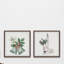 Chavez Chavez Season Of Cheer - 2 Piece Single Picture Frame Painting-1624828099