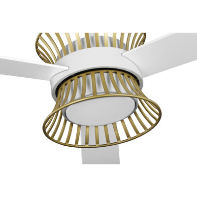 Bisbee 55'' Ceiling Fan with LED Lights
