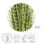 Herbe zébrée artificielle 47 po
