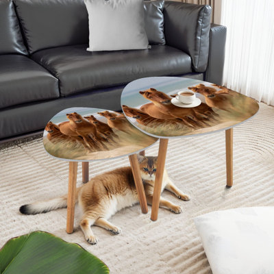 Ensemble de 2 tables basses gigognes triangulaires Assateague Wild Pones Beach